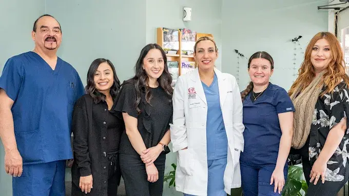 2025-05-01 - 2025-12-12T162814.412